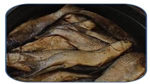 أكلوا "فسيخ".. إصابة 7 من أسرة واحدة باشتباه تسمم غذائي في بني سويف 