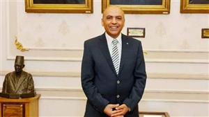 نائب: مصر لا تتدخل في شؤون الآخرين.. وتعمل لإحلال السلام في المنطقة 