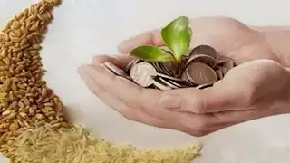 حكم زكاة الفطر لمن عليه دَين.. الإفتاء توضح هل يلزمه إخراجها 