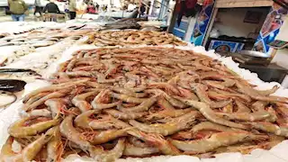 انخفاض الجمبري.. أسعار الأسماك والمأكولات البحرية في سوق العبور اليوم