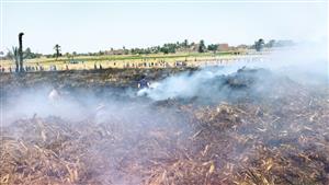 النار أكلت المحصول.. حريق يلتهم 3 أفدنة قمح في أسيوط- صور