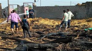 نفوق مواشي في حريق حظيرة بالعياط