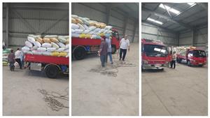 بالصور- توريد 15 ألف طن قمح في كفر الشيخ 