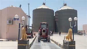 "الزراعة" تناشد مزارعي القمح سرعة توريد القمح المحلي