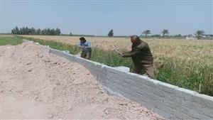 حملة لإزالة التعديات على الأراضي الزراعية في قرية الحرية بالإسكندرية - صور