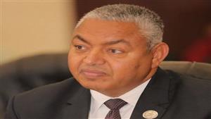 بعد وفاته.. من هو النائب البديل لمحمود بكري في مجلس الشيوخ؟