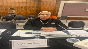 "قومي المرأة" يشارك في الاجتماع الإقليمي لمناهضة العنف ضد المرأة