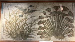 متحف شرم الشيخ يحتفل باليوم الدولي للصحة النباتية