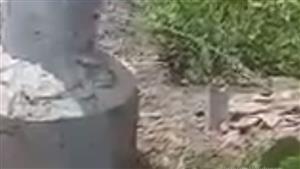 عمود كهرباء يتحول إلى نافورة مياه في البحيرة.. ومسؤول: "مش أول مرة"- فيديو وصور 