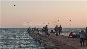 قطعة فريدة في منطقة السحر.. ماذا تعرف عن "لسان طور سيناء"؟ - صور