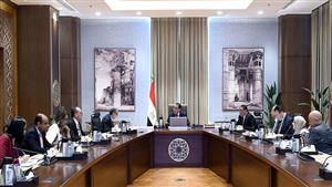 رئيس الوزراء يتابع تفعيل الشراكات مع القطاع الخاص العالمي في مجال الطاقة