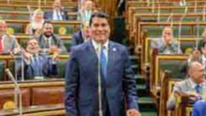 الحوار الوطني.. برلماني يضع آلية لحل أزمة الولاية على المال