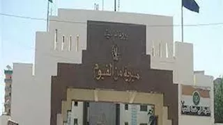 "طمعت في الحلق الدهب".. سيدة تحاول خطف طفلة من سوق بالفيوم
