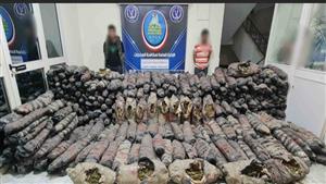 ضبط 1.5 طن من مخدر البانجو قبل ترويجه فى الإسماعيلية بقيمة 4.8 مليون جنيه 