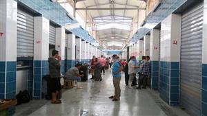 من عشوائي لحضاري.. جولة في سوق السمك الجديد بالمنيب بعد التطوير