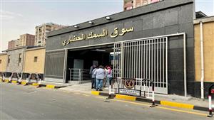 تبدأ من 40 جنيها للكيلو.. تعرف على أسعار وأنواع السمك داخل سوق السمك بالمنيب 