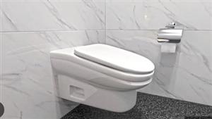    رجل يعثر على شئ غير متوقع في مرحاض منزله.. ماذا وجد؟