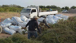 متحدث الزراعة: خطوة تنظيمية جديدة للارتقاء بالثروة الحيوانية