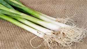 البصل الأخضر.. 6 أشخاص ممنوعون من تناوله - هذا ما يحدث لهم 