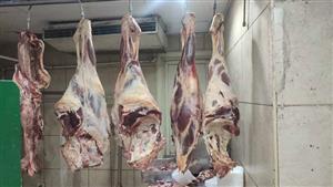 تقضي على جشع التجار.. برلماني يطالب بتكثيف ضخ اللحوم السودانية بالمجمعات 