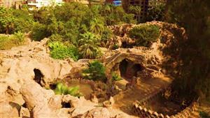 ردًا على شائعات قطع الأشجار النادرة في حديقة الأسماك.. الزراعة: نقوم بتهذيبها وصيانتها