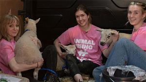 3 فتيات يسرقن مواشي من مزرعة الملك تشارلز في بريطانيا 