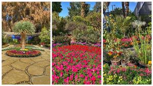 فسحة بـ10 جنيه.. استمتع بيوم يغير مزاجك للأفضل 