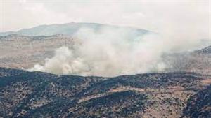 تقارير عن مقتل 5 من فصيل فلسطيني بقصف إسرائيلي عند الحدود اللبنانية السورية