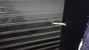 خالفت المواعيد الصيفية.. إغلاق 21 محلًا في الإسكندرية - صور 