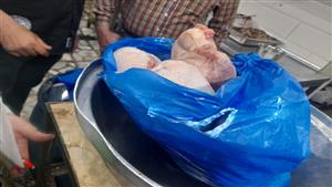 11 إنذارًا.. حملة مفاجئة على الأسواق وسط الإسكندرية - صور