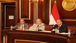 "صحة الشيوخ" تناقش تحسين أوضاع أطباء التكليف في المناطق النائية والحدودية