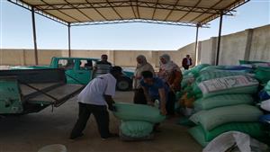 توريد 31 طن قمح في جنوب سيناء