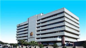 بتفكر لبلدنا.. أفكارنا مستقبلنا".. مبادرة لجمع ٥٠ فكرة لاقتصاد أكثر تنافسية