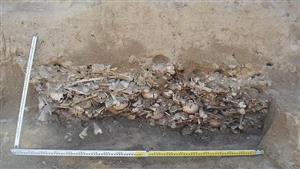 اكتشاف مقبرة جماعية لضحايا خرافة مصاصي الدماء.. لن تتوقع ما وجده الباحثون