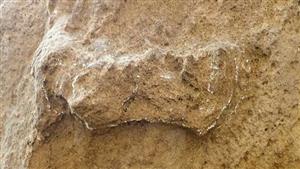 صورة للتاريخ.. هنا أقدم أثر لقدم الإنسان العاقل في التاريخ