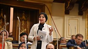 عضو التنسيقية تطالب بإعادة النظر في البنية التشريعية بما يتناسب مع حرية البحث العلمي