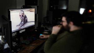 فيديوهات وحشية مقابل أموال.. تحقيق يكشف شبكة عالمية لتعذيب القرود وتصويرها