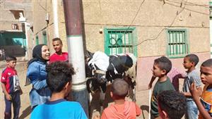 "لحمة ودهنة خطي العتبة".. زفة للعجل قبل الدبح في قرى سوهاج - فيديو وصور