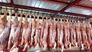 التحالف الوطني يطلق أكبر حملة لتوزيع لحوم الأضاحي بكافة المحافظات