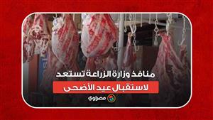 سعر اللحوم مناسب وموحد.. منافذ وزارة الزراعة تستعد لاستقبال عيد الأضحى