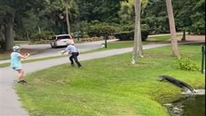 بالفيديو.. تمساح يطارد صيادًا وسط صرخات الحاضرين