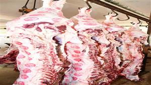 توزيع ١٢.٥ طن من لحوم الأضاحي علي ٦٢٥٠ أسرة من هيئة النظافة والفئات الأولى بالرعاية