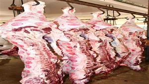 الأوقاف تعلن بدء ذبح لحوم مشروع صكوك الأضاحي