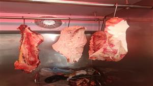 صور.. إعدام أغذية فاسدة خلال حملة صحية في مدينة طور سيناء