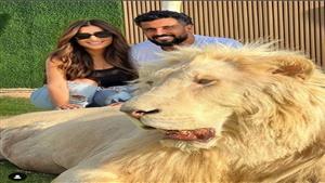 المخرج محمد سامي وزوجته مي عمر بصحبة أسد.. والجمهور: "يا قلبكم القوي"