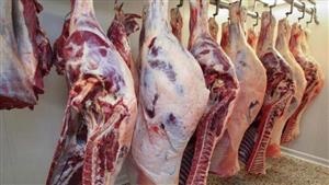 ضبط عجول مذبوحة بأختام مزورة ولحوم وكبدة فاسدة بالقاهرة 