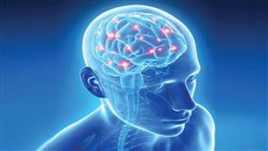 دراسة: مخ الإنسان يحدد أصحاب السلطة خلال أجزاء من الثانية