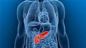 بينها "الإمساك".. الصحة تكشف أعراض الإصابة بسرطان القولون