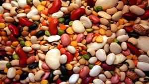 فوائد مذهلة.. هذا ما يحدث لجسمك عند تناول الفاصوليا