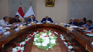 6 قرارات جديدة بشأن حيازة وتملك الأراضي الزراعية في الوادي الجديد